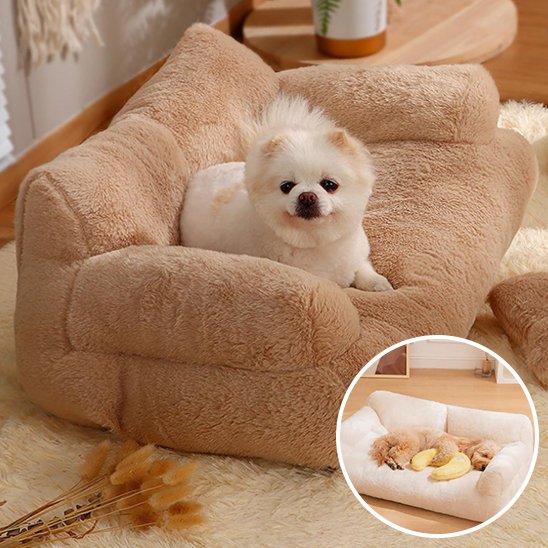 Canapé pour chien