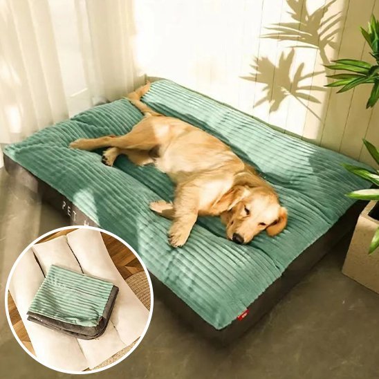 Coussin chien | Ultra - confortable - Dogscie