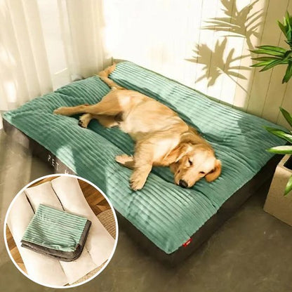 Coussin chien | Ultra - confortable - Dogscie