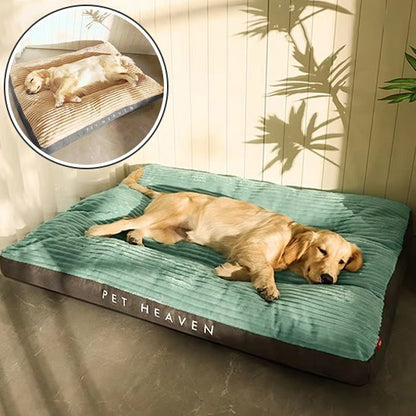 Coussin chien | Ultra - confortable - Dogscie