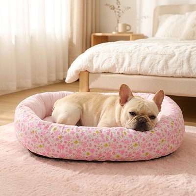 Coussin Chien | Ultra Confortable - Dogscie