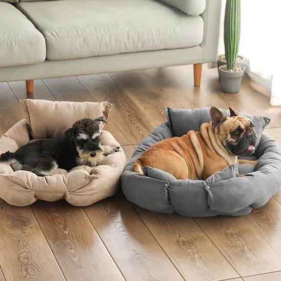 Coussin chien | Ultra - confortable - Dogscie