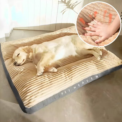 Coussin chien | Ultra - confortable - Dogscie