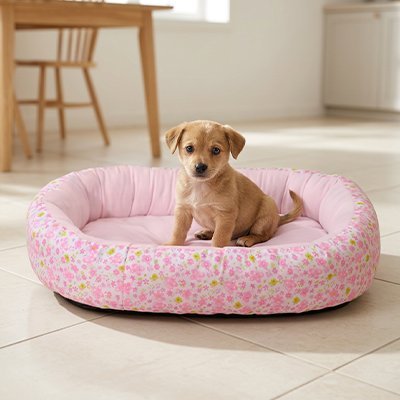 Coussin Chien | Ultra Confortable - Dogscie