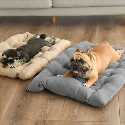 Coussin chien | Ultra - confortable - Dogscie