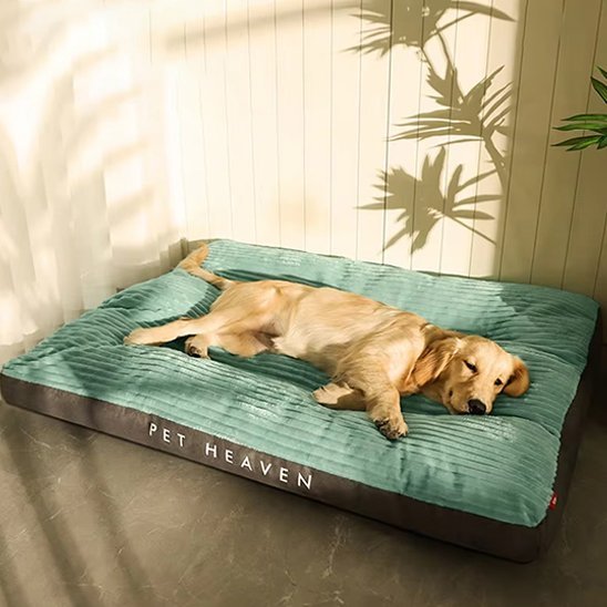 Coussin chien | Ultra - confortable - Dogscie