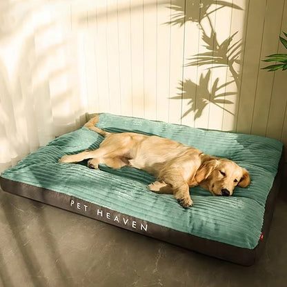 Coussin chien | Ultra - confortable - Dogscie