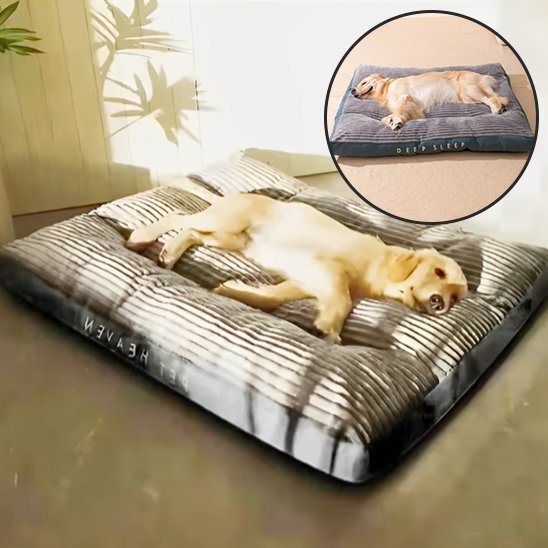 Coussin chien | Ultra - confortable - Dogscie
