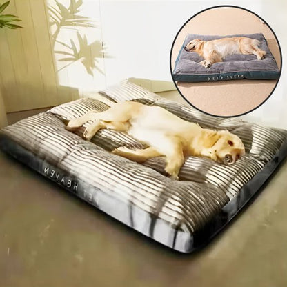 Coussin chien | Ultra - confortable - Dogscie