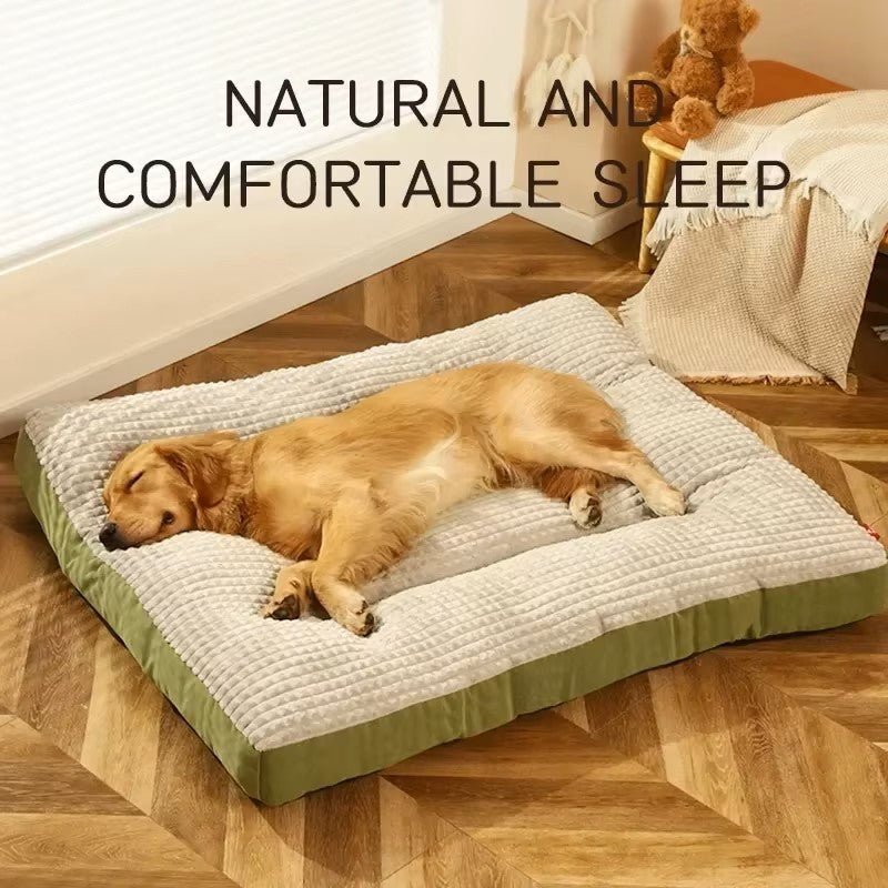 Coussin chien | Ultra - confortable - Dogscie
