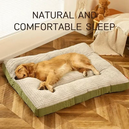 Coussin chien | Ultra - confortable - Dogscie