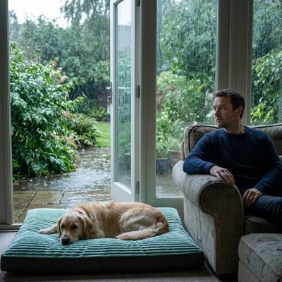 Coussin pour Chien | Confort Optimal - Dogscie