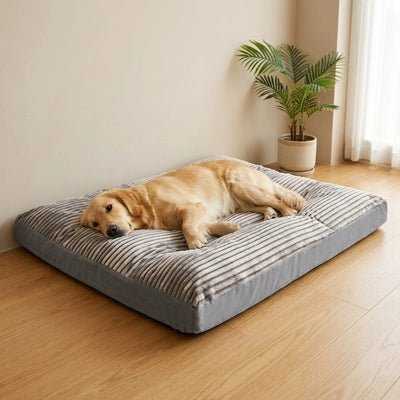 Coussin pour Chien | Confort Optimal - Dogscie