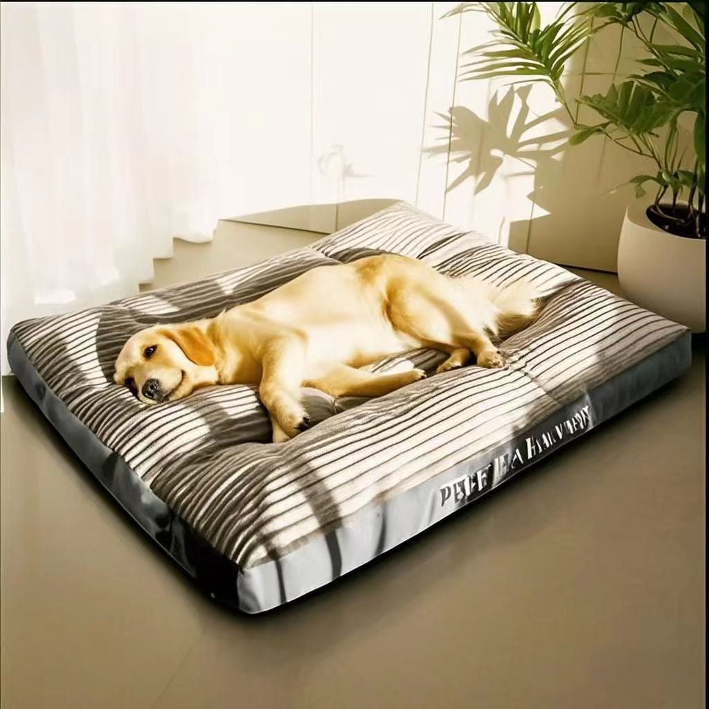 Coussin pour Chien | Confort Optimal - Dogscie