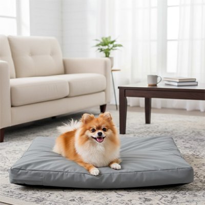 Coussin pour Chien | Moelleux Réparateur - Dogscie