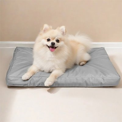 Coussin pour Chien | Moelleux Réparateur - Dogscie