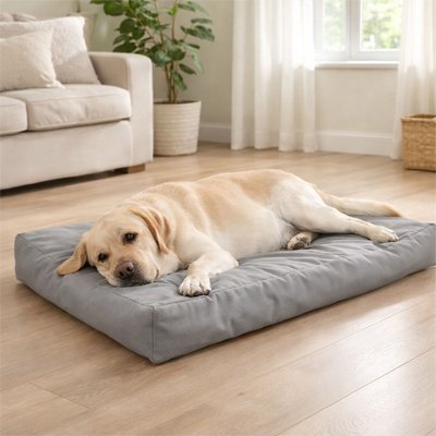 Coussin pour Chien | Moelleux Réparateur - Dogscie
