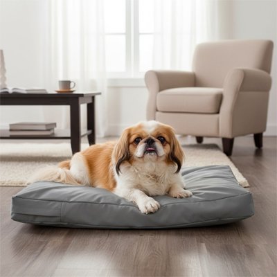 Coussin pour Chien | Moelleux Réparateur - Dogscie