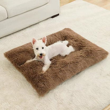 Coussin pour chien marron sur moquette blanche avec chien blanc couché heureux et souriant