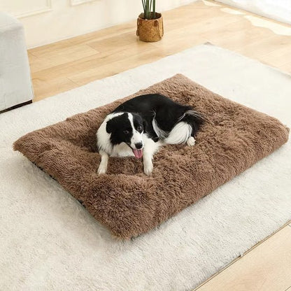 Coussin pour chien marron sur moquette blanche avec chien noir et blanc couché heureux et souriant