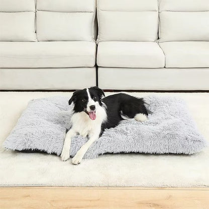Coussin pour chien gris sur moquette blanche devant canapé blanc avec chien noir et blanc couché heureux et souriant