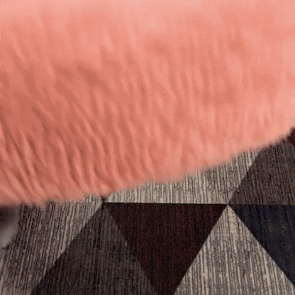 Panier pour chien | Confortable et Design
