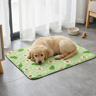 Tapis rafraichissant pour Chien | Confort Été
