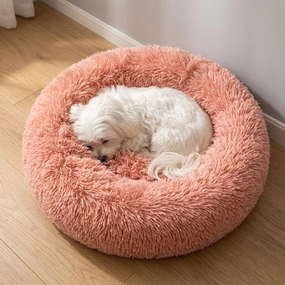 Panier Chien | Confort Optimal