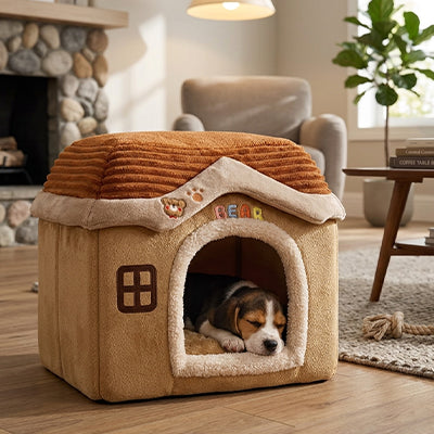 Niche Chien | Isolée Robuste