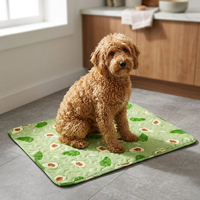 Tapis rafraichissant pour Chien | Confort Été