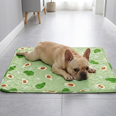 Tapis rafraichissant pour Chien | Confort Été