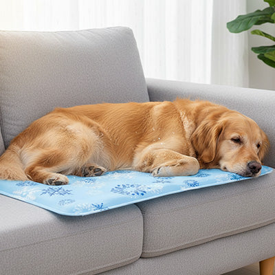 Tapis rafraîchissant Chien | Confort Instantané