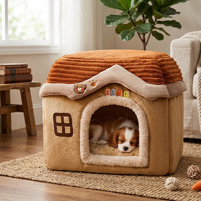 Niche Chien | Isolée Robuste