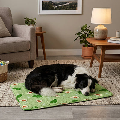 Tapis rafraichissant pour Chien | Confort Été