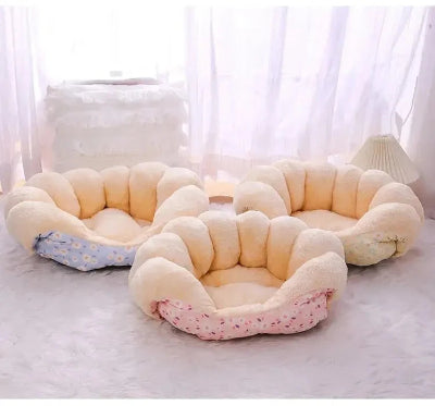Lit pour chien vide trois couleurs sur moquette poils longs blancs 