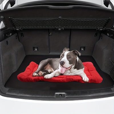 Lit de camp pour chien rouge dans coffre de vus avec chien couché heureux et souriant