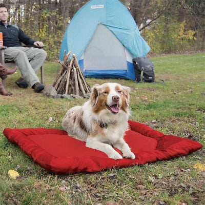Lit de camp pour chien rouge en camping avec berger australien couché heureux et souriant