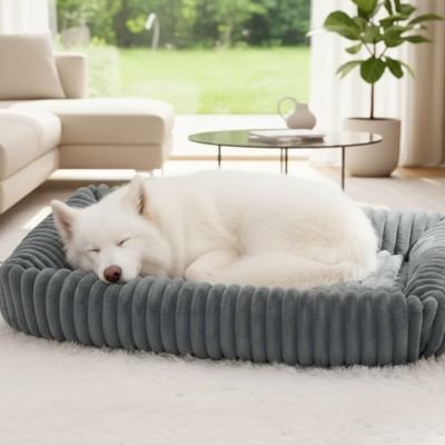 Lit pour Chien | Confortable et Lavable - Dogscie