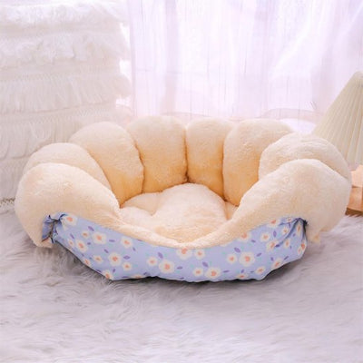 Lit pour chien fleurs bleus vide sur moquette poils longs blancs 