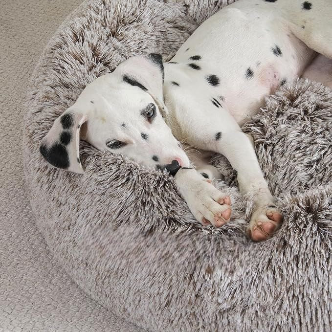Lit pour Chien - FluffyDogBed™ - Café Dégradé - Dogscie
