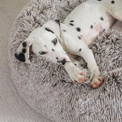 Lit pour Chien - FluffyDogBed™ - Café Dégradé - Dogscie