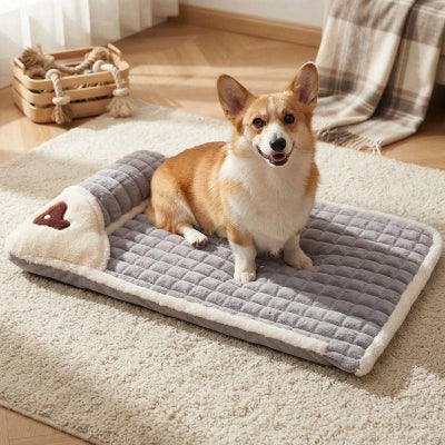 Lit pour Chien gris sur moquette beige du salon avec chien assis heureux et souriant