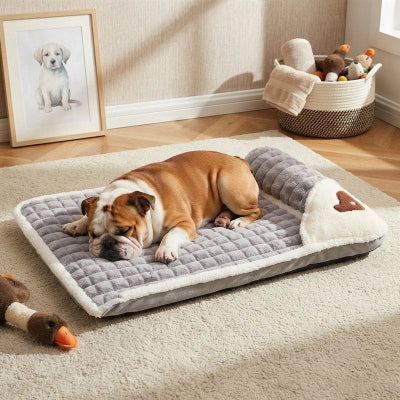 Lit pour Chien gris sur moquette blanche dans le salon avec chien dormant paisiblement