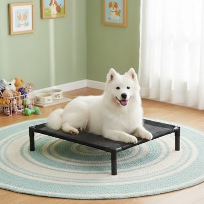 Lit pour Chien Surélevé | Confort Aéré - Dogscie