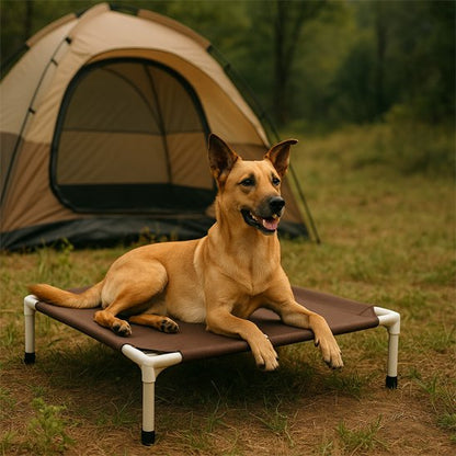 Lit  surélevé Chien beige avec chien dessus en camping