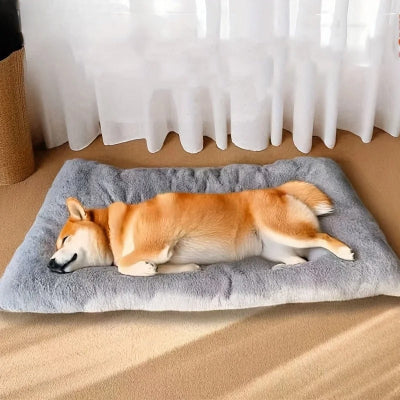 Matelas pour chien​​ gris sur planchers de bois du salon avec chien dormant paisiblement