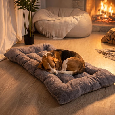 Matelas pour chien​​ gris sur planchers de bois du salon avec beagle dormant paisiblement
