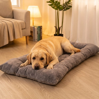 Matelas pour chien​ gris sur planchers de bois du salon avec labrador blond couché regardant l'objectif