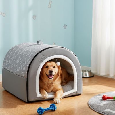 Niche pour Chien interieur gris sur plancher bois franc avec golden retriever heureux et souriant