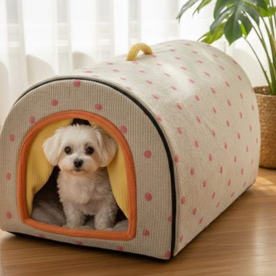 Niche pour Chien interieur jaune/orange surplancher bois franc du salon avec caniche blanc regardant l'objectif